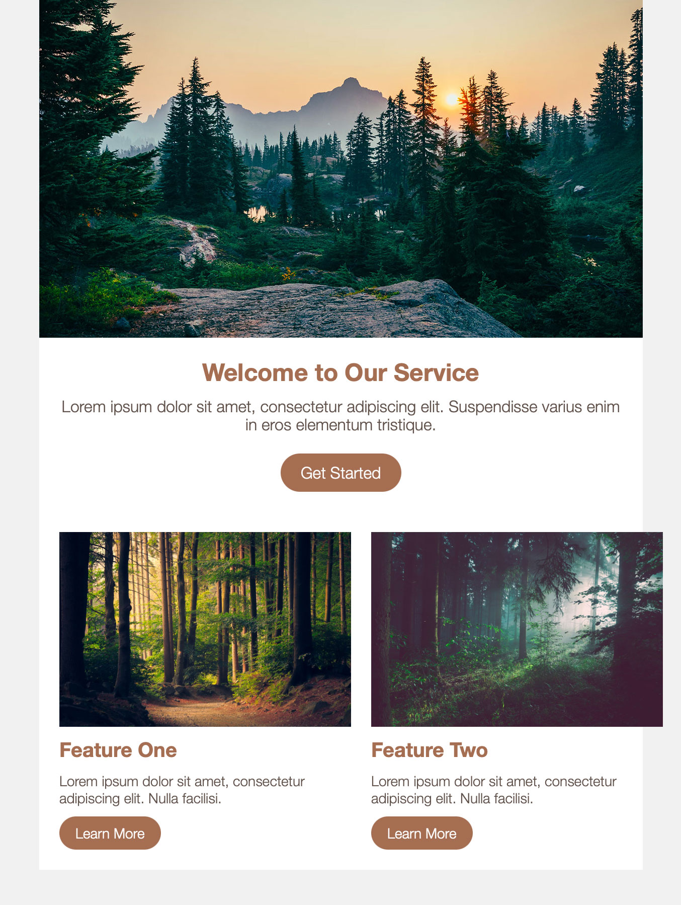 Screenshot of email in local web browser